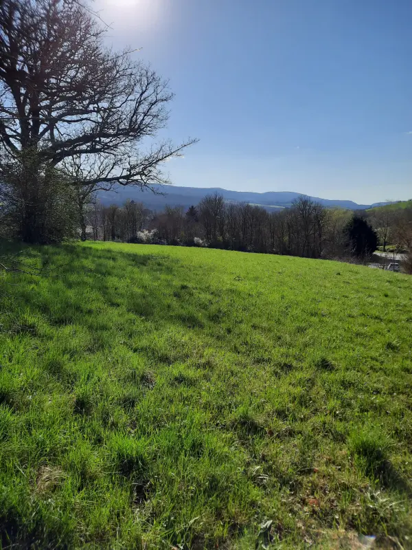 Sainte-Eulalie-de-Cernon 12230 – Vente terrain