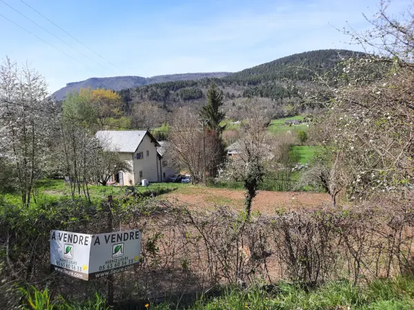 Saint-Jean-du-Bruel 12230 – Vente terrain