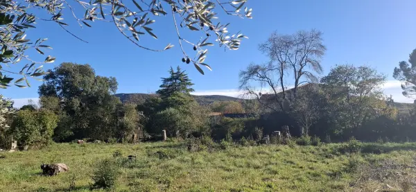Laroque 34190 – Vente terrain