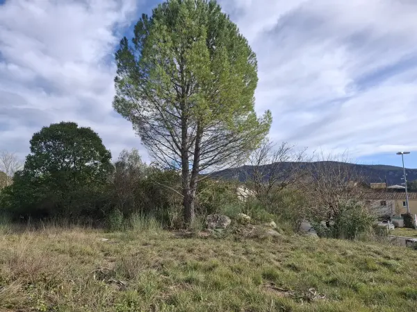 Moulès-et-Baucels 34190 – Vente terrain