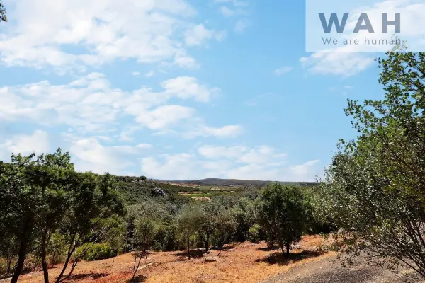 Roquessels 34320 – Vente terrain