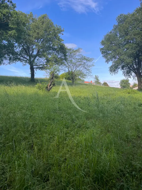 ALBI 81000 – Vente terrain