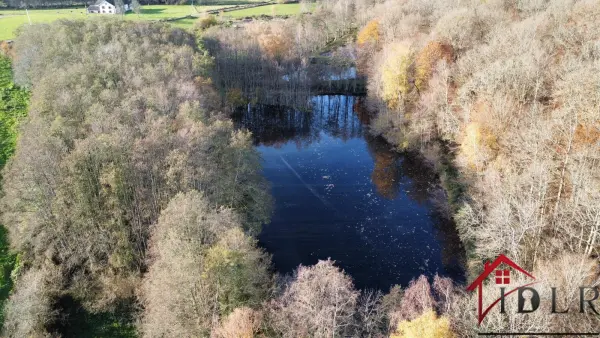 Belmont 70270 – Vente terrain