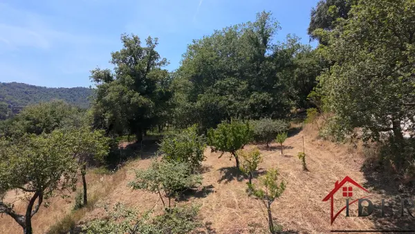 Collobrières 83610 – Vente terrain