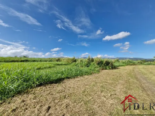 Lamentin 97129 – Vente terrain