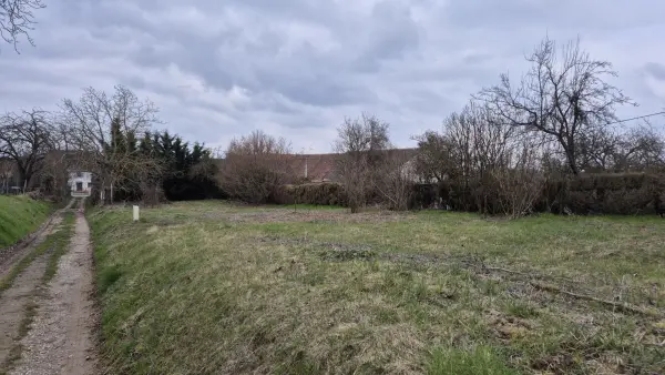 Eguisheim 68420 – Vente terrain