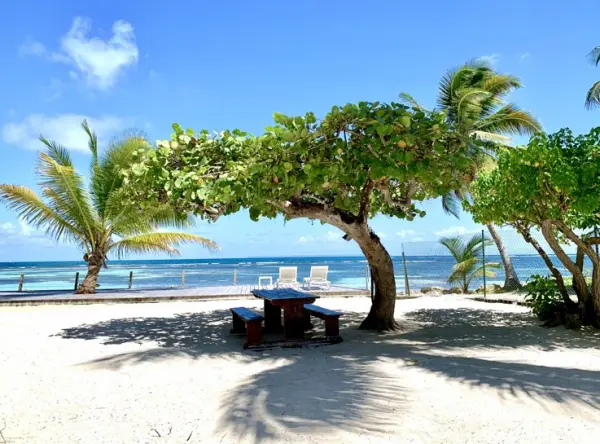 Sainte-Anne 97180 – Location vacances appartement 1&nbsp;pièce 1&nbsp;chambre