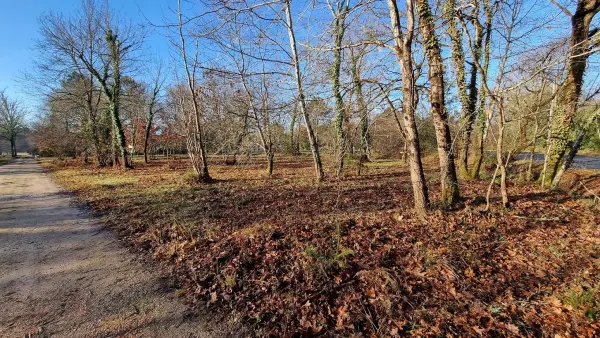 Mézos 40170 – Vente terrain