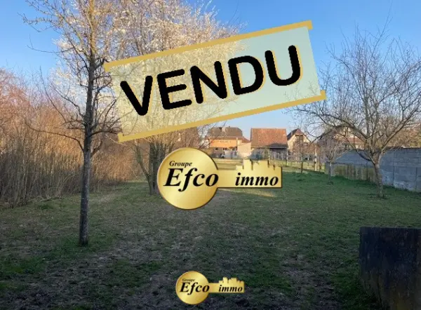 Hirtzbach 68118 – Vente terrain