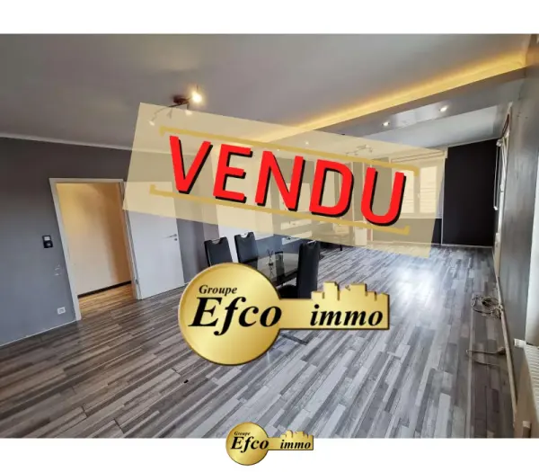 Hégenheim 68220 – Vente appartement 3&nbsp;pièces 2&nbsp;chambres