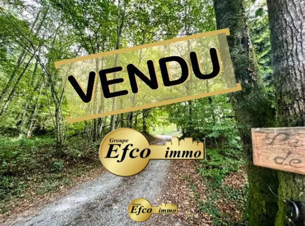 Bellemagny 68210 – Vente maison/villa 5&nbsp;pièces 3&nbsp;chambres