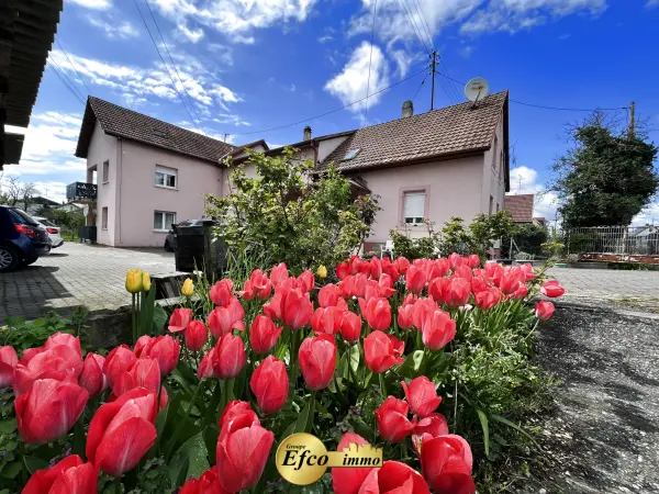Saint-Louis 68300 – Vente maison/villa 16&nbsp;pièces
