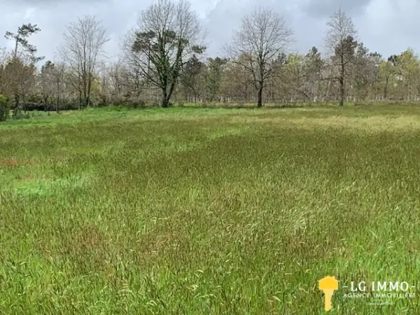 Saint-Bonnet-sur-Gironde 17150 – Vente terrain