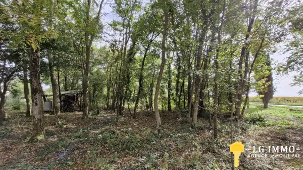 Chenac-Saint-Seurin-d&rsquo;Uzet 17120 – Vente terrain