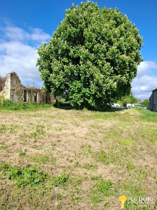 Saint-Georges-des-Agoûts 17150 – Vente terrain