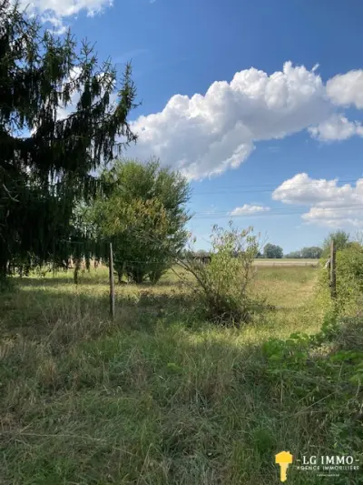 Bois 17240 – Vente terrain