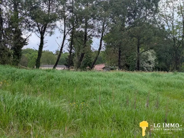 Saint-Simon-de-Bordes 17500 – Vente terrain