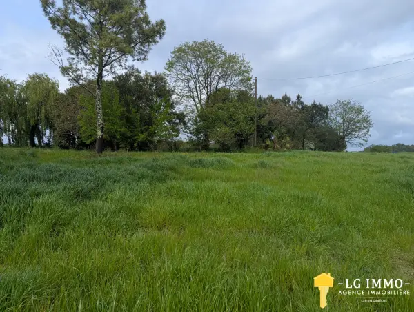 Saint-Simon-de-Bordes 17500 – Vente terrain