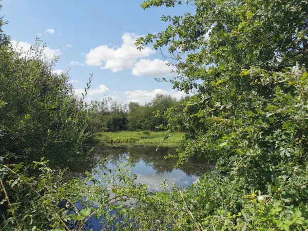 Romorantin-Lanthenay 41200 – Vente terrain