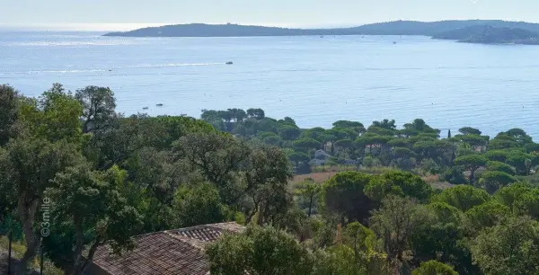 Grimaud 83310 – Vente maison/villa 12&nbsp;pièces 5&nbsp;chambres