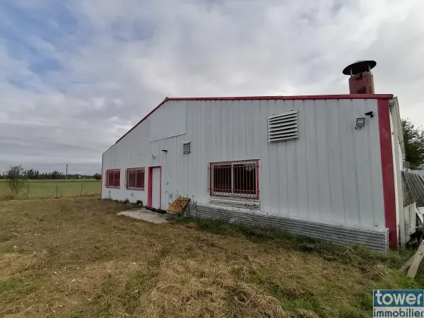 Montauban 82000 – Vente local