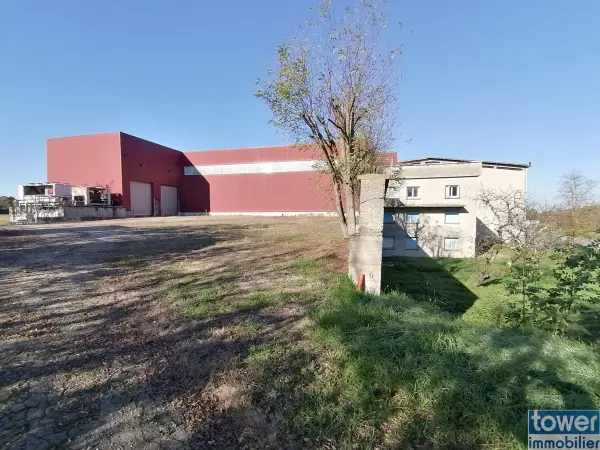 Toulouse 31000 – Vente local