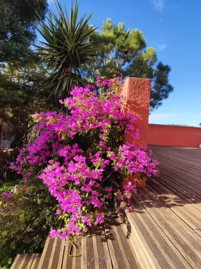 Port-Vendres 66660 – Vente maison/villa 3&nbsp;pièces 2&nbsp;chambres