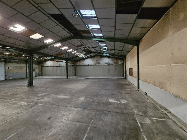 Angers 49100 – Location local