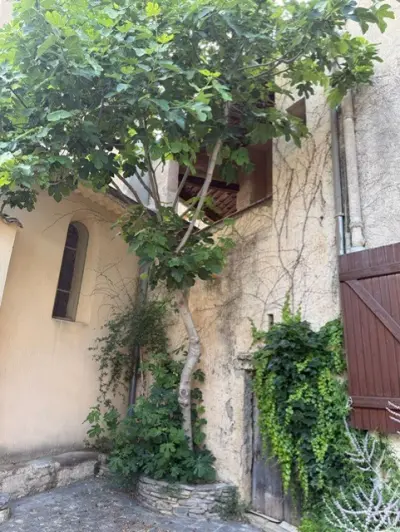 Arboras 34150 – Vente maison/villa 6&nbsp;pièces 4&nbsp;chambres