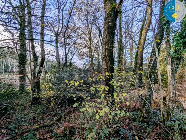 Monteneuf 56380 – Vente terrain