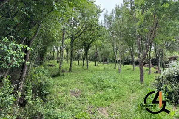 Assas 34820 – Vente terrain