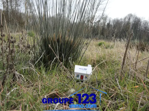 Guerchy 89113 – Vente terrain