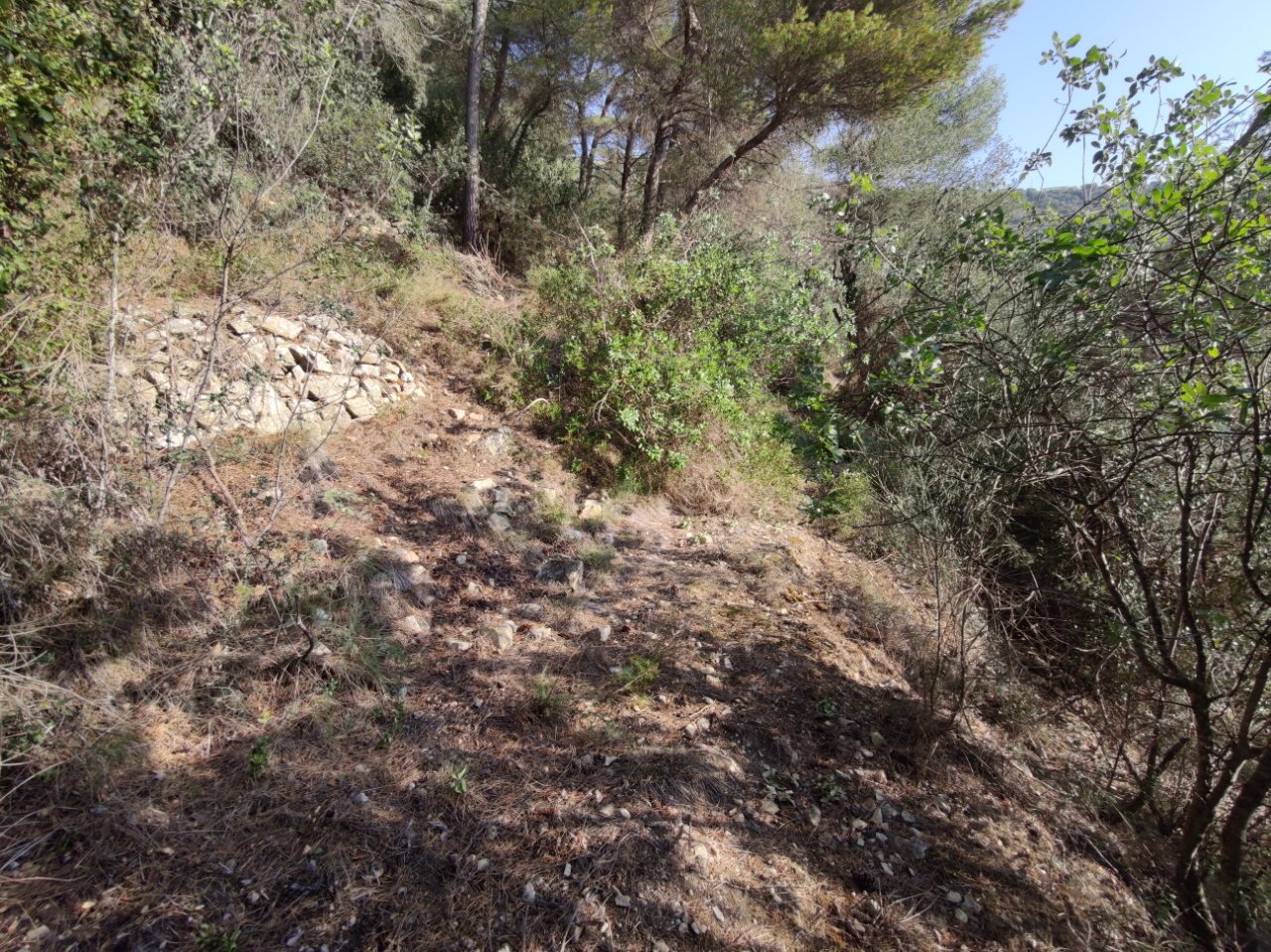 Cantaron 06340 – Vente terrain