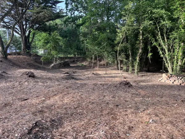 Sables d or les pins 22240 – Vente terrain