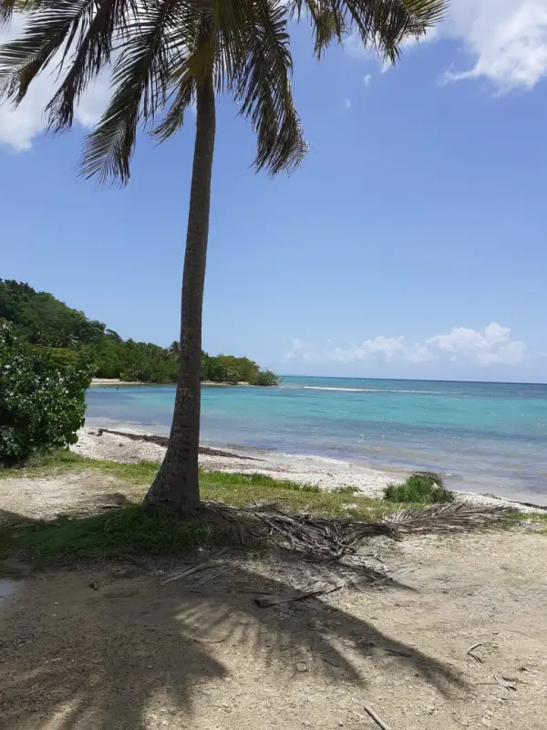 Gosier 97190 – Location vacances appartement 1&nbsp;pièce