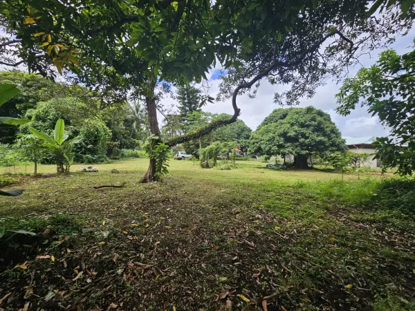Capesterre-Belle-Eau 97130 – Vente maison/villa 4&nbsp;pièces 3&nbsp;chambres
