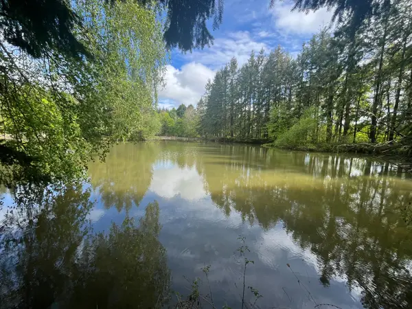 COULLONS 45720 – Vente terrain 1&nbsp;pièce