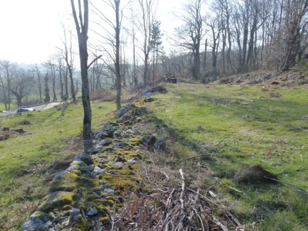Gluiras 07190 – Vente terrain