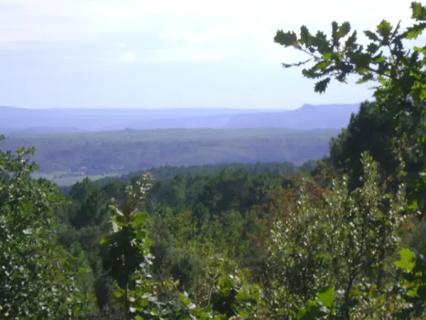 Montréal 07110 – Vente terrain