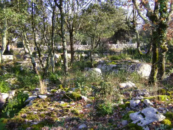 Beaume 07120 – Vente terrain