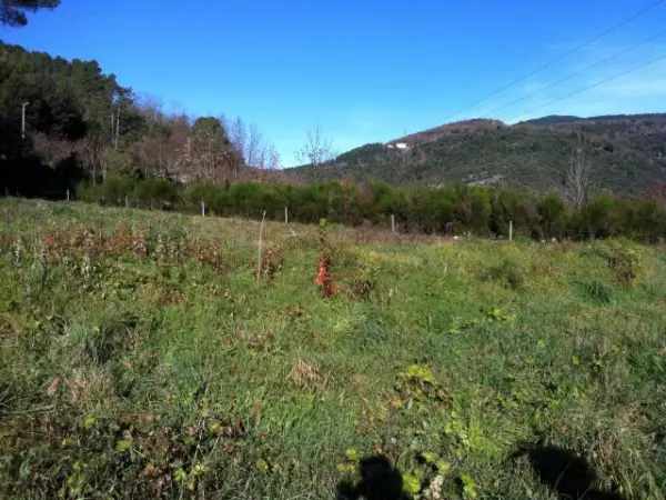 Lalevade-d&rsquo;Ardèche 07380 – Vente terrain