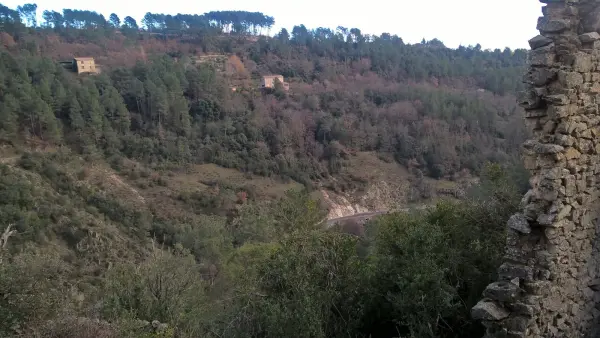 Tauriers 07110 – Vente terrain