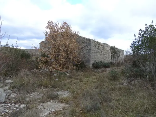 Chauzon 07120 – Vente terrain
