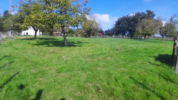 Faverges-de-la-Tour 38110 – Vente terrain