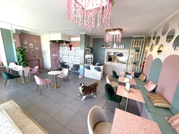 Menton 06500 – Vente local