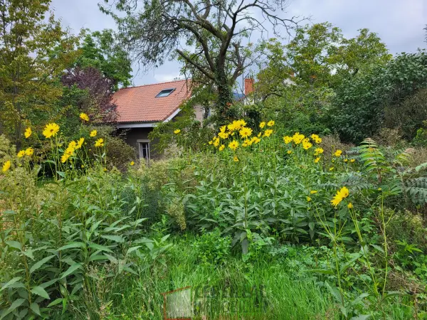 Clermont-Ferrand 63000 – Vente maison/villa 6&nbsp;pièces 4&nbsp;chambres