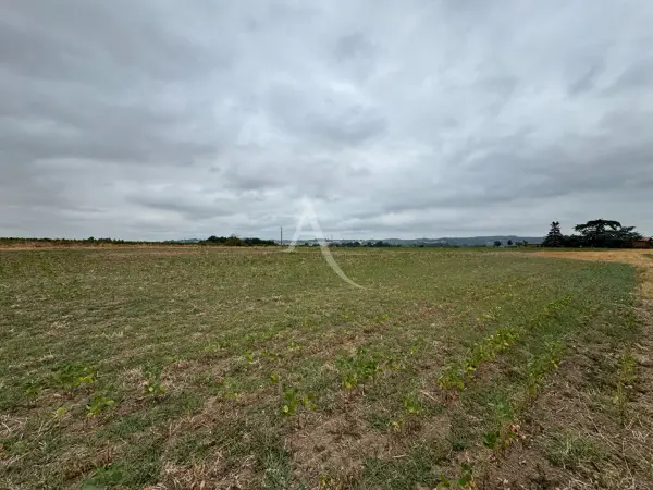 LISLE SUR TARN 81310 – Vente terrain