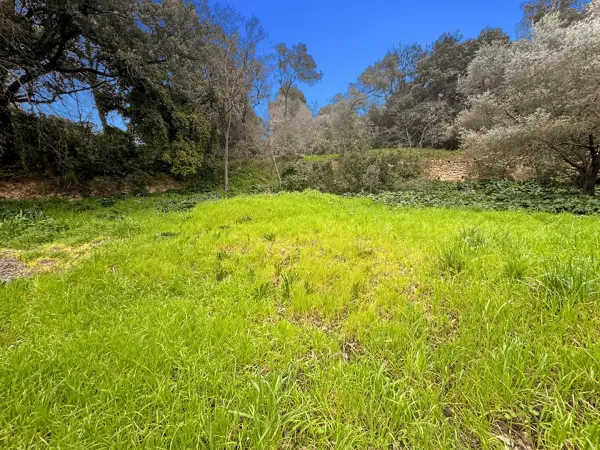 MARSEILLE 13013 – Vente terrain