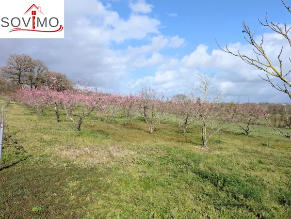 Confolens 16500 – Vente terrain