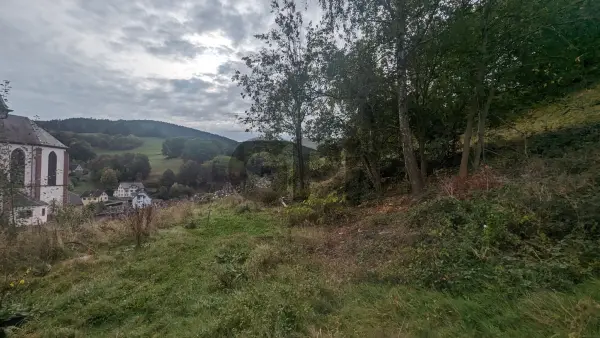 Orbey 68370 – Vente terrain
